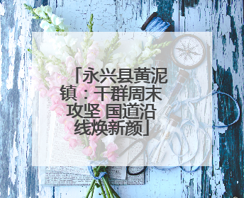 永兴县黄泥镇：干群周末攻坚 国道沿线焕新颜