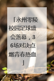 永州零陵校园足球盛会落幕，36场对决点燃青春热血