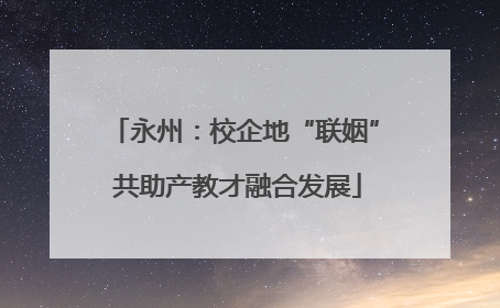 永州：校企地“联姻” 共助产教才融合发展