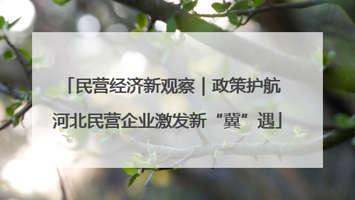 民营经济新观察｜政策护航 河北民营企业激发新“冀”遇
