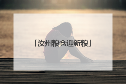 汝州粮仓迎新粮