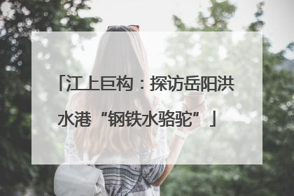 江上巨构：探访岳阳洪水港“钢铁水骆驼”