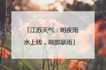 江苏天气：明夜雨水上线，局部暴雨