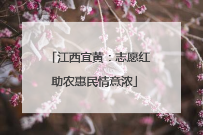 江西宜黄：志愿红助农惠民情意浓