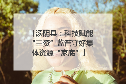 汤阴县：科技赋能“三资”监管守好集体资源“家底”