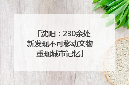 沈阳：230余处新发现不可移动文物重现城市记忆
