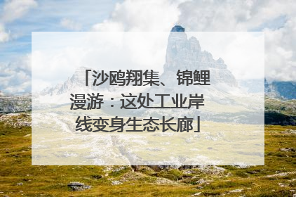 沙鸥翔集、锦鲤漫游：这处工业岸线变身生态长廊