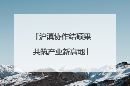 沪滇协作结硕果 共筑产业新高地