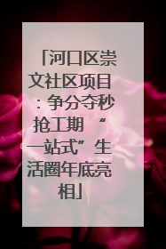 河口区崇文社区项目：争分夺秒抢工期 “一站式”生活圈年底亮相