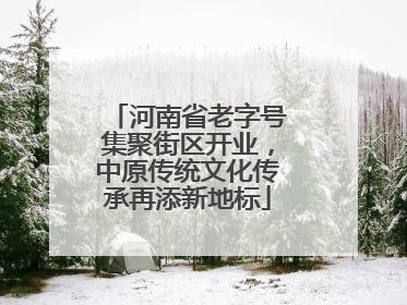 河南省老字号集聚街区开业，中原传统文化传承再添新地标