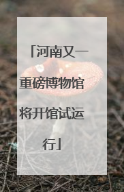 河南又一重磅博物馆将开馆试运行