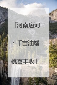 河南唐河：千亩油蟠桃喜丰收