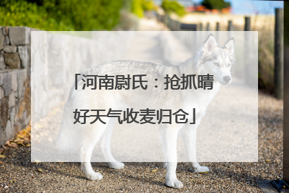 河南尉氏：抢抓晴好天气收麦归仓