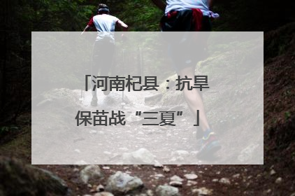 河南杞县：抗旱保苗战“三夏”