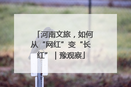 河南文旅，如何从“网红”变“长红”｜豫观察