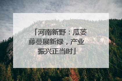 河南新野：瓜蒌藤蔓展新绿，产业振兴正当时