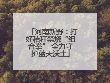 河南新野：打好秸秆禁烧“组合拳” 全力守护蓝天沃土