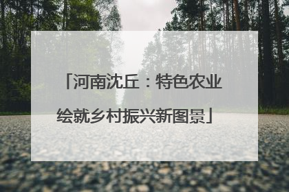 河南沈丘：特色农业绘就乡村振兴新图景