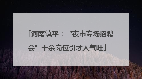 河南镇平：“夜市专场招聘会”千余岗位引才人气旺