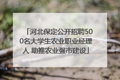 河北保定公开招聘500名大学生农业职业经理人 助推农业强市建设