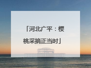 河北广平：樱桃采摘正当时