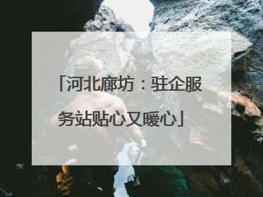 河北廊坊：驻企服务站贴心又暖心
