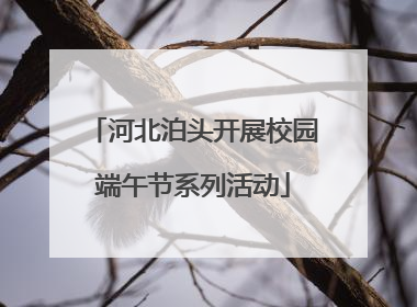 河北泊头开展校园端午节系列活动