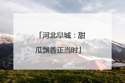 河北阜城：甜瓜飘香正当时