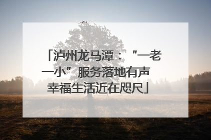 泸州龙马潭：“一老一小”服务落地有声 幸福生活近在咫尺