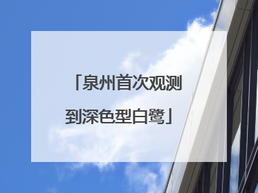 泉州首次观测到深色型白鹭
