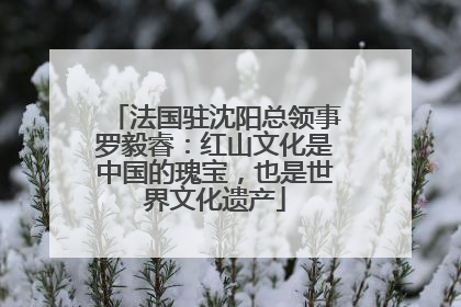 法国驻沈阳总领事罗毅睿：红山文化是中国的瑰宝，也是世界文化遗产