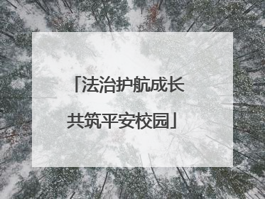 法治护航成长 共筑平安校园