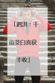 泗洪：千亩茭白喜获丰收