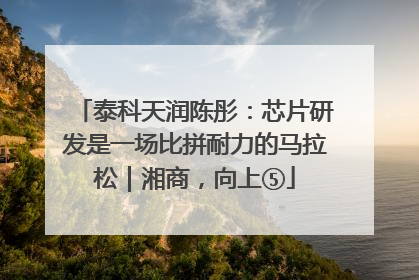 泰科天润陈彤：芯片研发是一场比拼耐力的马拉松｜湘商，向上⑤