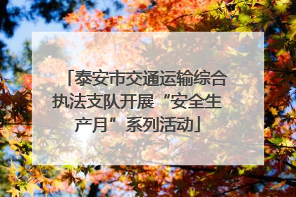 泰安市交通运输综合执法支队开展“安全生产月”系列活动