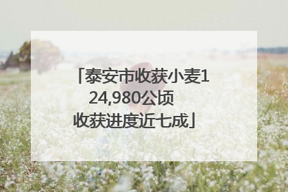 泰安市收获小麦124,980公顷 收获进度近七成