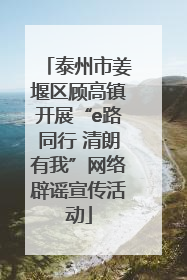 泰州市姜堰区顾高镇开展“e路同行 清朗有我”网络辟谣宣传活动