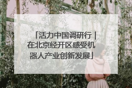 活力中国调研行｜在北京经开区感受机器人产业创新发展