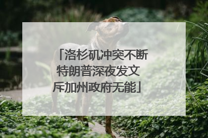 洛杉矶冲突不断 特朗普深夜发文斥加州政府无能