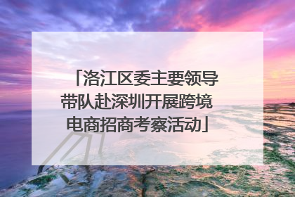 洛江区委主要领导带队赴深圳开展跨境电商招商考察活动