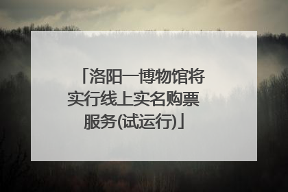 洛阳一博物馆将实行线上实名购票服务(试运行)