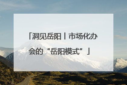 洞见岳阳丨市场化办会的“岳阳模式”