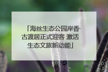 海丝生态公园岸香·古渡居正式迎客 激活生态文旅新动能