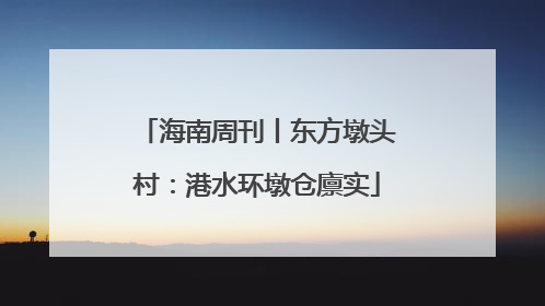 海南周刊丨东方墩头村：港水环墩仓廪实