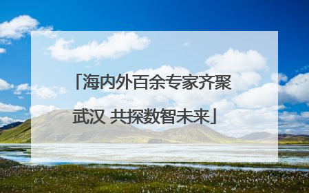 海内外百余专家齐聚武汉 共探数智未来