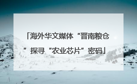 海外华文媒体“晋南粮仓”探寻“农业芯片”密码