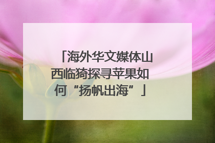海外华文媒体山西临猗探寻苹果如何“扬帆出海”