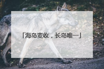 海岛麦收，长岛唯一