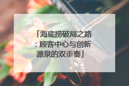 海底捞破局之路：顾客中心与创新源泉的双重奏