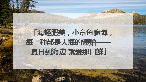 海蛏肥美，小章鱼脆弹，每一种都是大海的馈赠——夏日到海边 就爱那口鲜